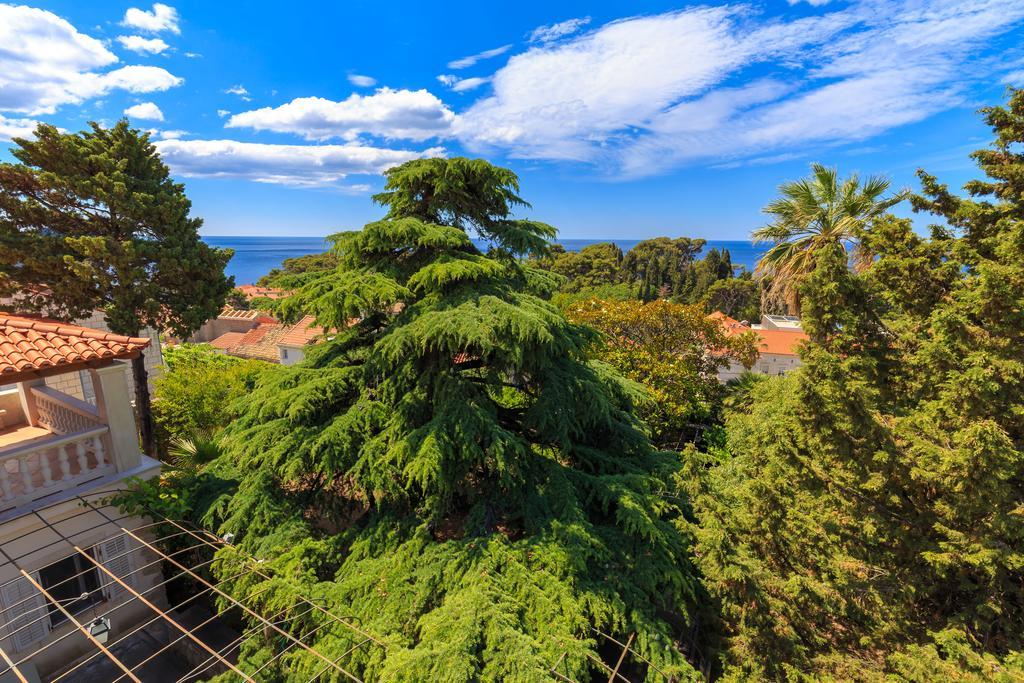 House Hedera V Villa Dubrovnik Buitenkant foto
